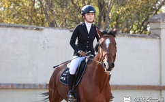 娱乐718可以看张津瑜视频吗